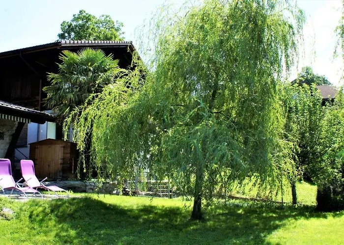 B & B Brienz ベッド・アンド・ブレックファスト